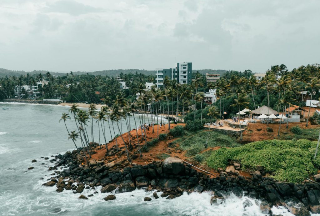 Aerial View of Palm-Filled Sri Lankan Coastline - Mirissa